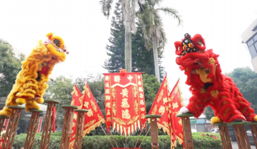 龙腾狮跃，共铸鲜丽将来！